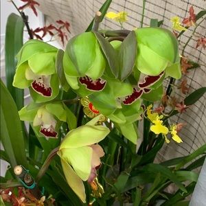 Meet your Posher, Tran